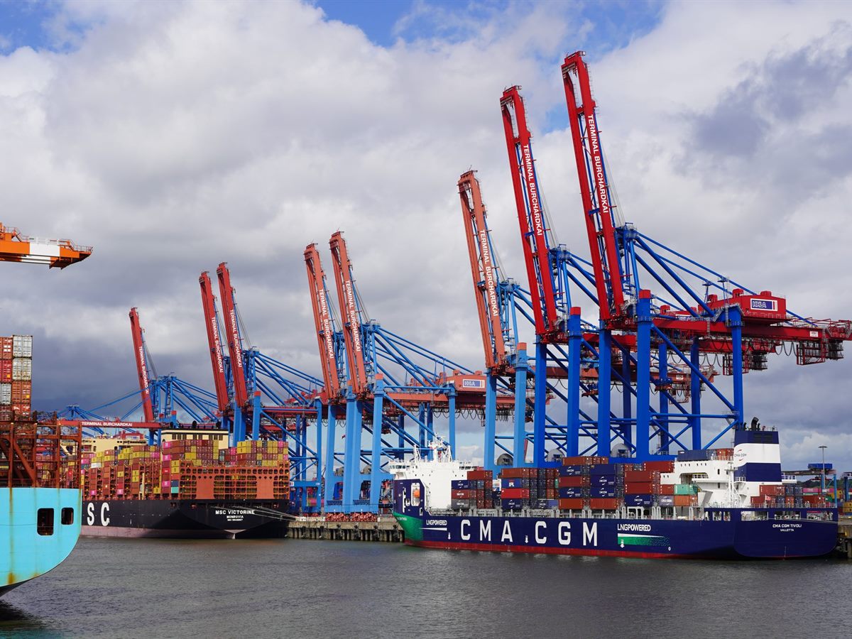 Container terminal and gantry cranes